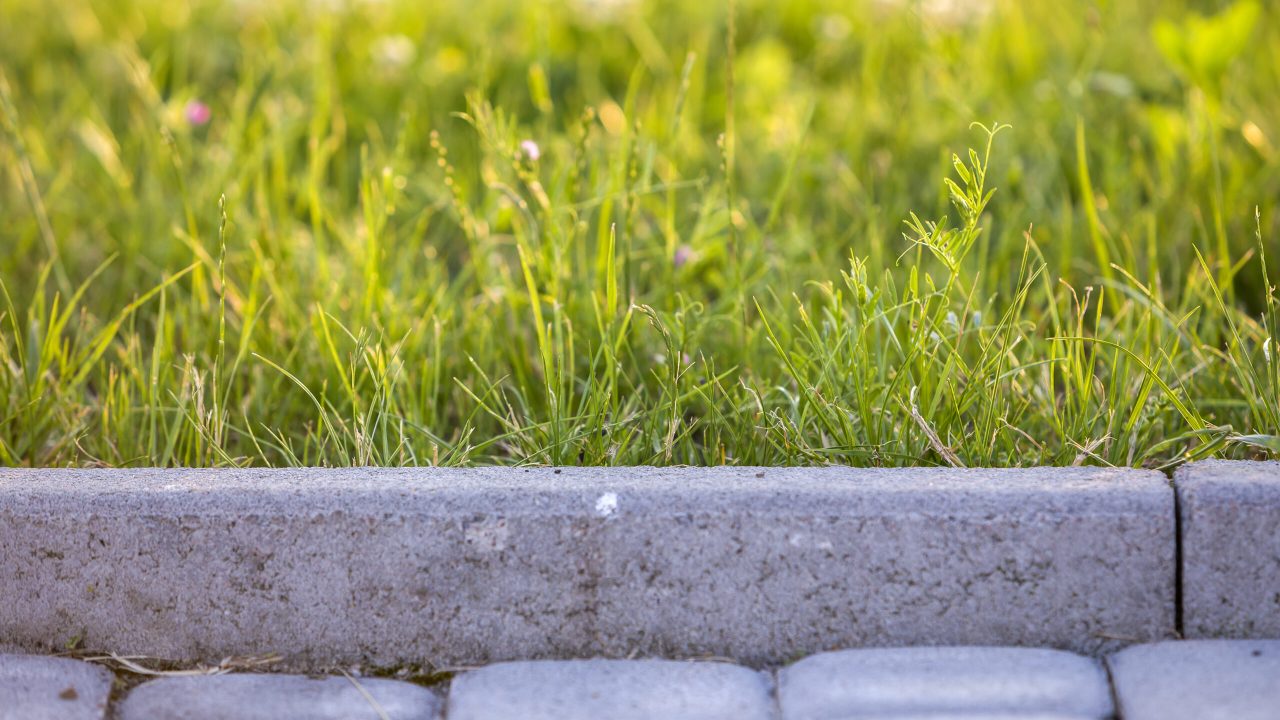 Closeup of pavement curb with green grass lawn behind.