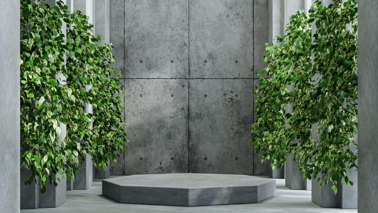 Mock up concrete podium for product presentation with tree and a cement background.3D rendering